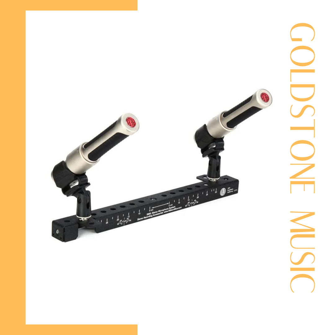 N22 Stereo Kit Microphone (2 N22, SKB case, SMS Stereo Bar, 2 Windscreens, Blumiein Coupler)